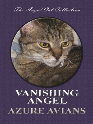 cover image of Vanishing Angel